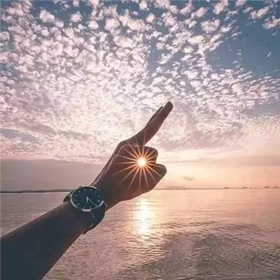 我的树精女友游戏下载